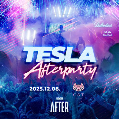Tesla After - 2025.12.08.