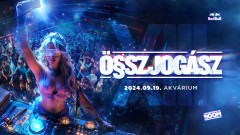 XIII. Összjogász - Akvárium - 2024.09.19.